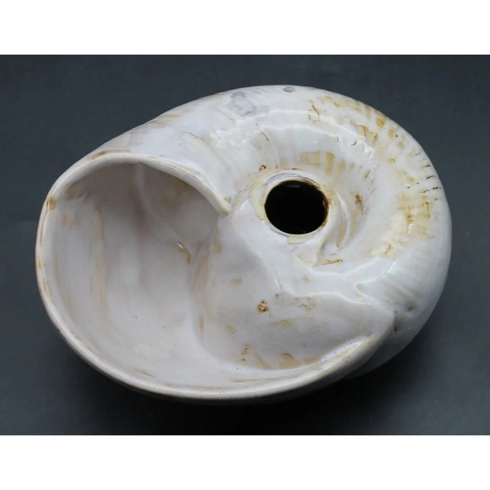 Pier 1 Nautilus Shell Vase Planter Coastal Beach Decor Ceramic 7in Cream Tan